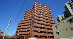 Mauris hendrerit urna