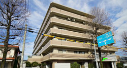 Mauris hendrerit urna