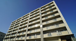 Mauris hendrerit urna