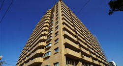 Mauris hendrerit urna