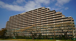 Mauris hendrerit urna